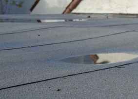 Ponding water on Flat roof - MM Dynamic